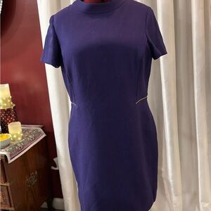 Elegant Purple Women's Dress